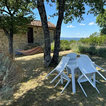Semesterbostad I Poggi Di Belvedere - Depandance
