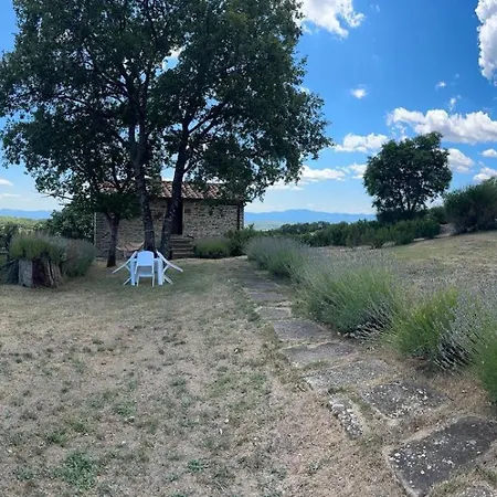 I Poggi Di Belvedere - Depandance Semesterbostad *